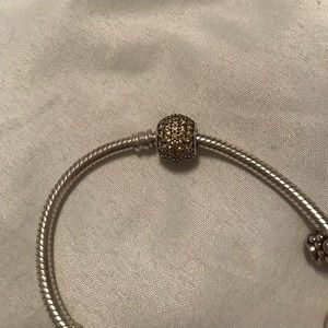 Pandora charm